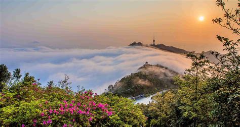 梧桐山|深圳市梧桐山风景区管理处